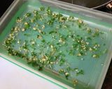 Foto del paso 1 de la receta: Entrecot a la plancha con papas arrugas y ensalada de cebolla y pimientos asados