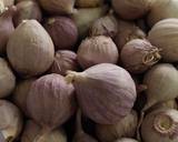 กระเทียมโทนดองน้ำผึ้ง วิธีทำสูตร 1 รูป