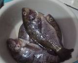 Cara Membuat Ikan mujair goreng bumbu simpel 1