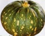 A picture of step 1 of KashiPhal (Pumpkin).