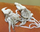 Foto langkah ke 1 dari resep Sotong dan Dori Goreng.