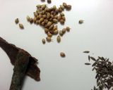 A picture of step 1 of smoked rice with beef.