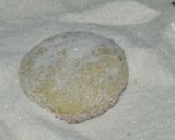 Foto del paso 6 de la receta: Los bollos de la abuela Quica