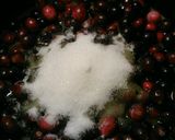 A picture of step 1 of Squiggy's Cranberry Sauce.