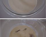 A picture of step 4 of Easily Made in the Microwave! Tiramisu Daifuku!.