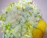 Foto langkah ke 1 dari resep Okonomiyaki.