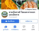 รูปขั้นตอนการทำที่ 17 ของ ขนมตาล #ทำขายรวย