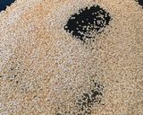 Foto del paso 2 de la receta: Salsa Tahini DMA F3