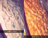 صورة لخطوة 4 من وصفة ستيك دجاج
