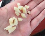 Foto del paso 3 de la receta: Entomatadas de atún guisado