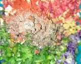 A picture of step 2 of Veg Manchurian fried Rice.