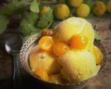 Une image de l'étape 4 de Sorbet de mirabelles au miel.