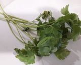 Foto del paso 6 de la receta: Guiso de mondongo