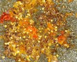 Foto langkah ke 4 dari resep Tempe mendoan sambel kecap.
