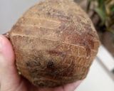 Hình bước làm 2 của món Chè khoai môn cốt dừa