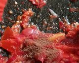 Foto langkah ke 3 dari resep Tongkol Balado ala Warteg.