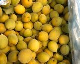 Hình bước làm 1 của món Ngâm rượu mơ