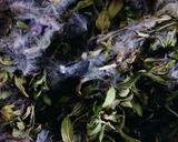 عکس مرحله 1 از دستور دمنوش گیاهی (ترکیبی)
