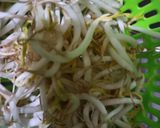 Foto langkah ke 1 dari resep Tumis Tauge Kangkung.