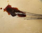 Foto del paso 2 de la receta: Nube de yogurt