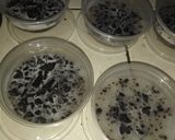 Foto langkah ke 10 dari resep Puding 3 Lapis Oreo on cup.