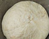 Foto del paso 10 de la receta: Pizza