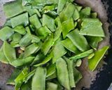 A picture of step 2 of Saemi fry.