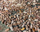 Foto del paso 3 de la receta: Almendras tostadas