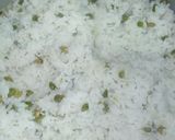 Foto del paso 4 de la receta: Arroz Afrejolado