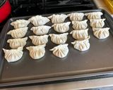 A picture of step 6 of Pan Fried Chicken Potstickers.