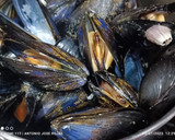 Foto del paso 1 de la receta: Ensalada de ventresca con gelatina de mejillones y tomate pimiento