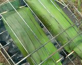 Foto langkah ke 5 dari resep Nasi Bakar Ayam Kemangi.