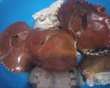 Foto langkah ke 1 dari resep Kepiting Saos Padang.