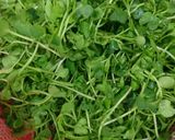 Hình bước làm 1 của món Rau mầm trộn thịt bò