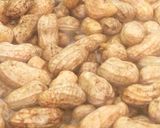 Foto langkah ke 1 dari resep Kacang Rebus (Empuk, Gurih dan Hemat Gas).