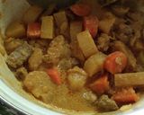 Foto langkah ke 13 dari resep Vegetable Mutton Curry 🍛🍲🍚.