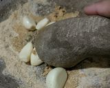 Foto langkah ke 1 dari resep Dendeng Sapi Kriuk Petai Sambalado.