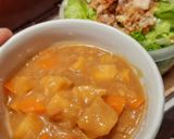 Foto langkah ke 3 dari resep Kuah Kari Jepang by Golden Curry.