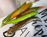 Une image de l'étape 8 de Légumes marinés grillés à la plancha.