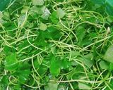 Hình bước làm 2 của món Rau má đậu xanh