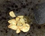 Foto langkah ke 3 dari resep Teri Kacang.