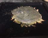 Foto del paso 3 de la receta: Rodaballo al horno