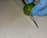 Foto del paso 5 de la receta: Aguachile verde costeño