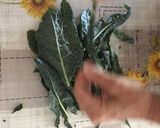 Foto del passaggio 1 della ricetta Pasta con crema di cavolo nero