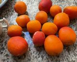 Une image de l'étape 1 de 🍑ABRICOTS 🍑PANNA COTTA🍧FRUITTE.