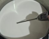 Foto langkah ke 3 dari resep Yogurt Homemade.