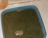 Foto langkah ke 1 dari resep Coffee Jelly Sago Dessert (Sago Kopi Jelly).