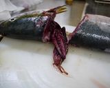 A picture of step 13 of Let's Prepare a Fish! How to Make Amberjack Sashimi.