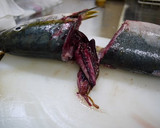 A picture of step 13 of Let's Prepare a Fish! How to Make Amberjack Sashimi.