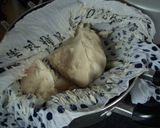 A picture of step 10 of Shiro Koshi-an (Smooth White Sweet Bean Paste).